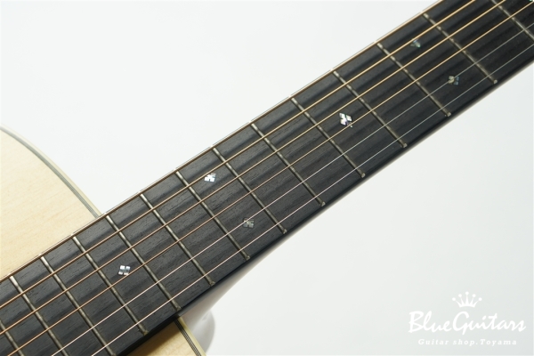 D-28B Brazilian Rosewood / Adirondack Spruce [サウンドメッセin大阪2024]